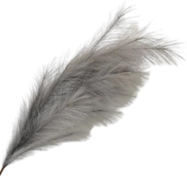 마치어제 인테리어 팜파스 갈대 조화, 1개, 그레이