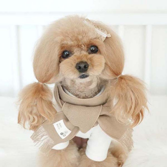 쥬비코 강아지 개버딘 목도리, 베이지, 1개