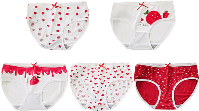 피어니스트 여성용 하트 딸기 포인트 팬티 5종 세트
