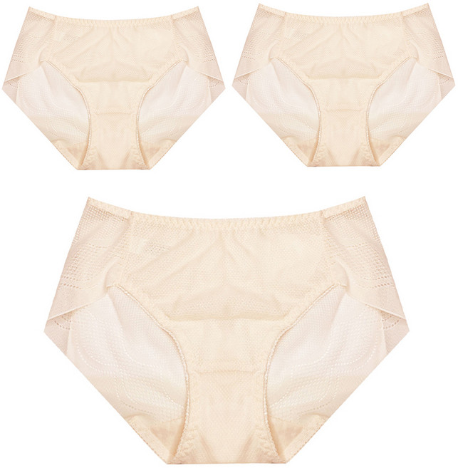 러블리온 심플 노라인 망사 팬티 AI03