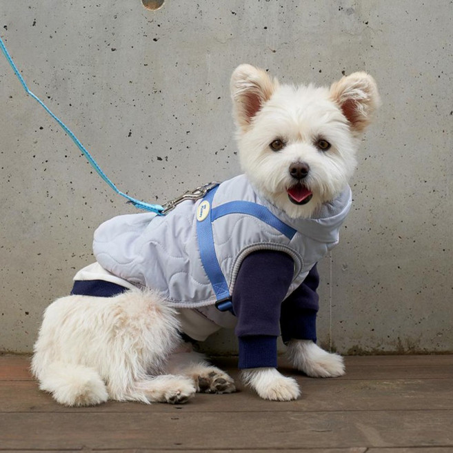 마이플러피 강아지 고아웃 하네스 패딩, 그레이블루, 1개