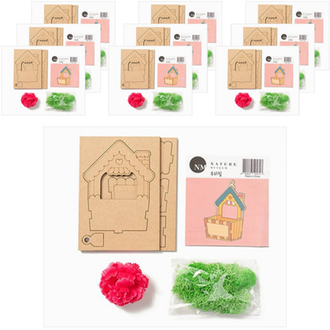 minhwashop 苔蘚康乃馨花盆製作套組, 什錦色, 10套