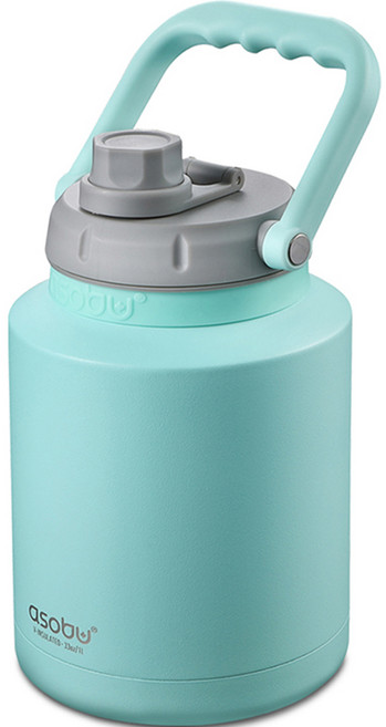 아소부 스테인레스 미니 워터저그, 민트, 1L, 1개