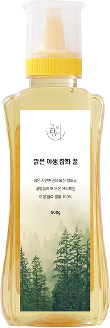 고이담아 국산 야생화 청정 잡화 벌 꿀, 1개, 500g