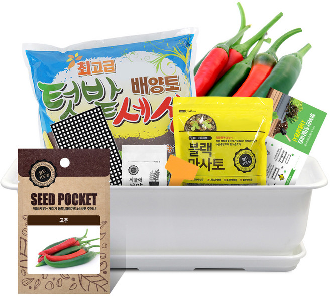 월드가드닝 뷰티6호 텃밭세트 순수화이트, 고추
