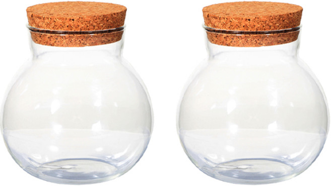 강군샵 볼단지 콜크 테라리움 투명 350ml, 2개