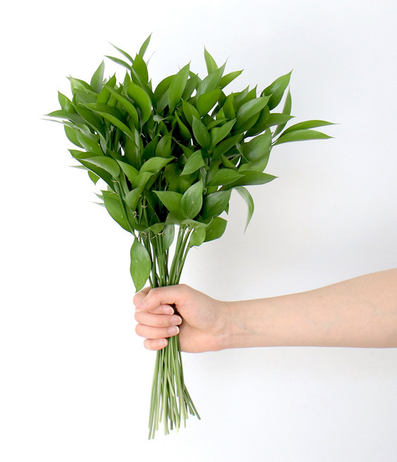 생화 제이메이드 루스커스 25가지, 혼합색상, 1개