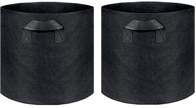 핫데이썸 부직포화분 블루베리 화분 2p, 블랙