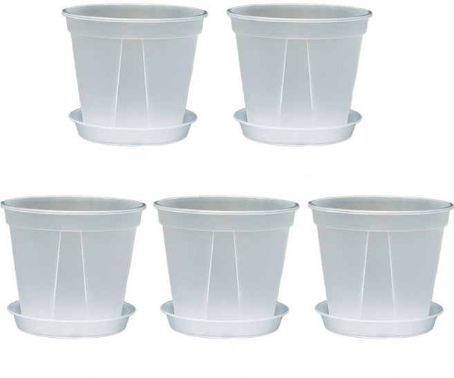 핫데이썸 화분 슬릿분 받침대 포함, 투명, 5개