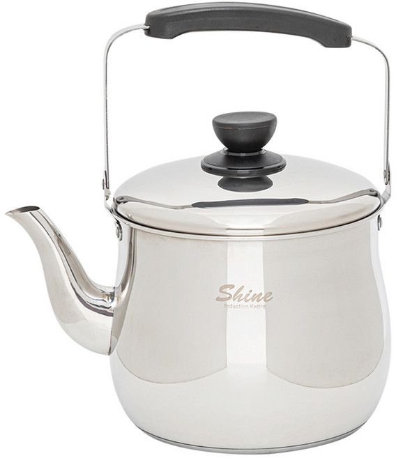 HOMEPOWER Shine 電磁爐水壺, 5L, 混合顏色, 1個