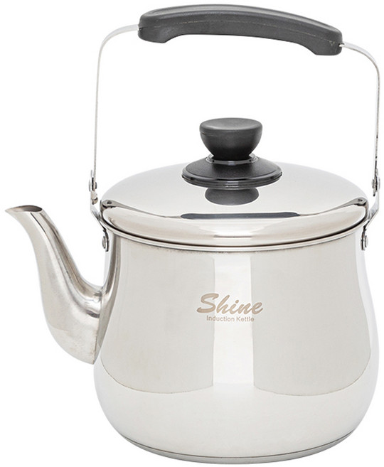 홈파워 샤인 인덕션 주전자, 3L, 혼합색상, 1개