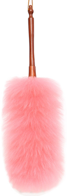 먼지털이개, 1개