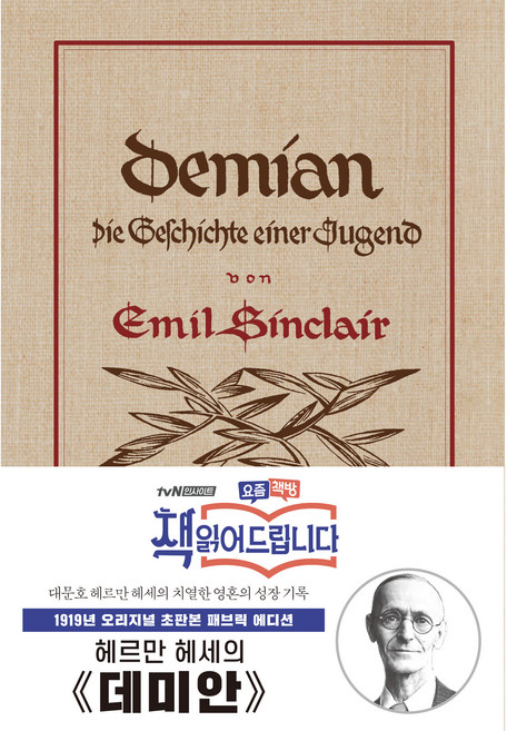 데미안: 초판본 패브릭 에디션, 더스토리, 헤르만 헤세