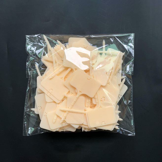 화분 이름표 100종 세트, 11 베이지