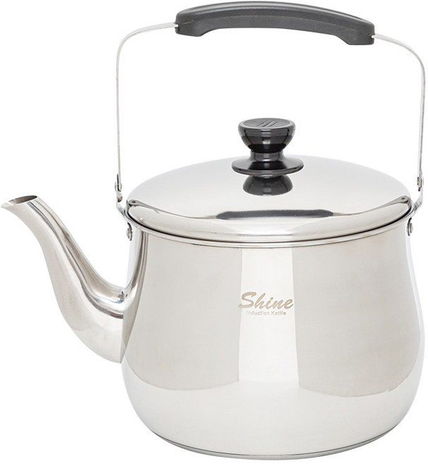 홈파워 샤인 인덕션 주전자, 7L, 혼합색상, 1개