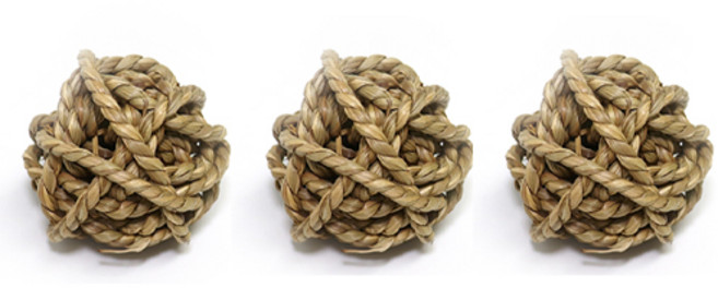 리프패럿 앵무새 밧줄 플레이볼 SA00339 3p, 1세트