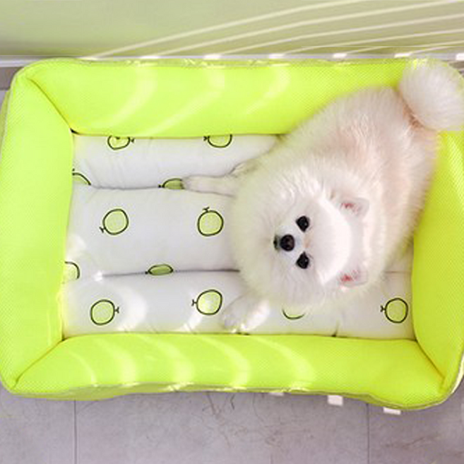 에코펫위드 반려동물용 여름 제철과일 쿨링 쿠션 방석, 메론, 1개