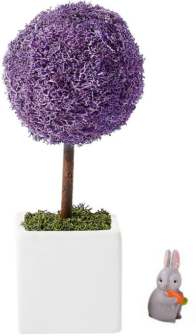 알레 실내 식물 스칸디아모스 화분 러블리 모스트리 퍼플 + 피규어 랜덤발송 세트, 1세트