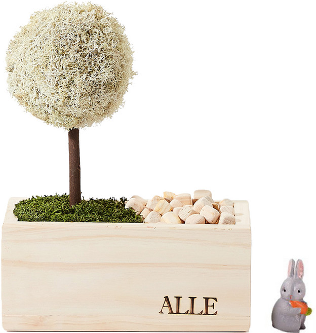 알레 실내 식물 스칸디아모스 트리편백 화분 내츄럴 + 피규어 랜덤발송 세트, 1세트