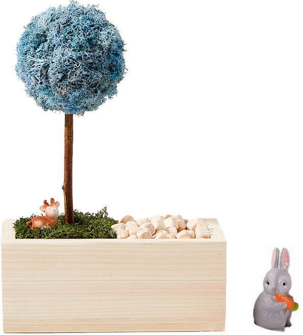 Alle 室內植物 北歐苔蘚 扁柏樹花盆 薰衣草藍 + 公仔隨機出貨套組, 1套