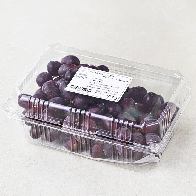 다조은 칠레산 씨없는 적포도, 900g, 1개