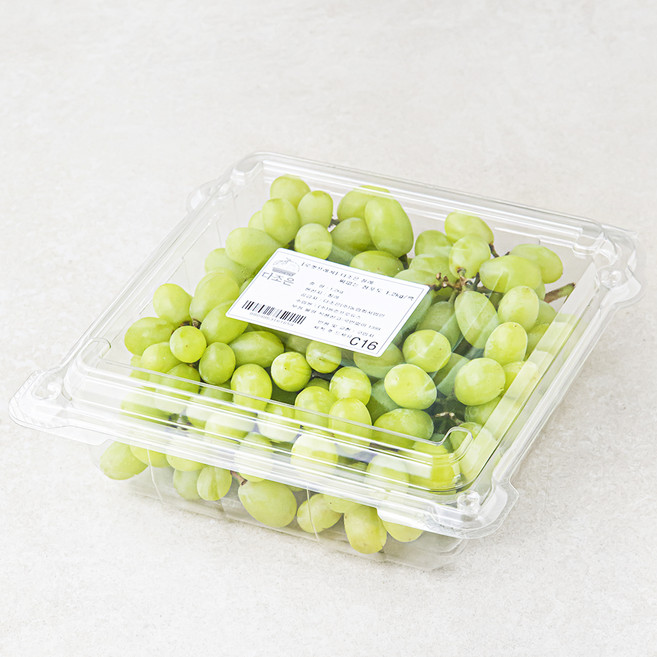 다조은 칠레산 씨없는 청포도, 1.2kg, 1개