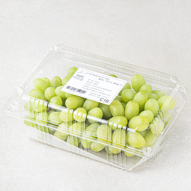 다조은 칠레산 씨없는 청포도, 900g, 1개