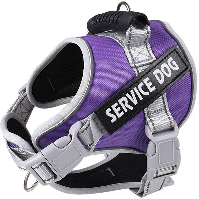 강아지 빛반사 하네스 안장형 산책줄, 퍼플