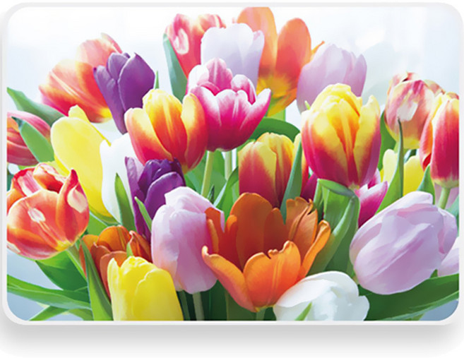 히키스 발수매트 돗자리, 튤립