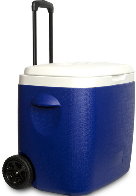 캠텔 캐리어형 아이스 박스 쿨러 CF-3800, 블루, 38L