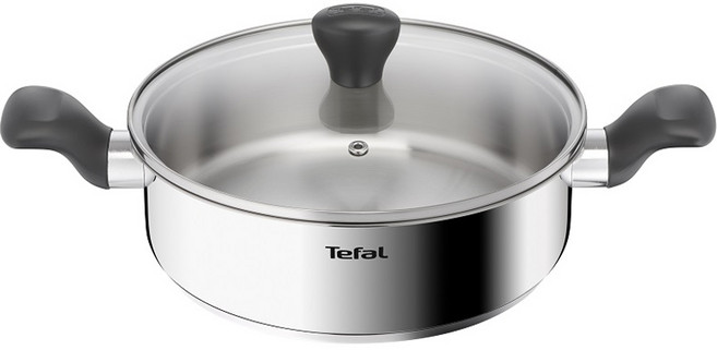 테팔 인덕션 스테인리스 스틸 이지쿡 전골냄비, 24cm, 실버, 1개