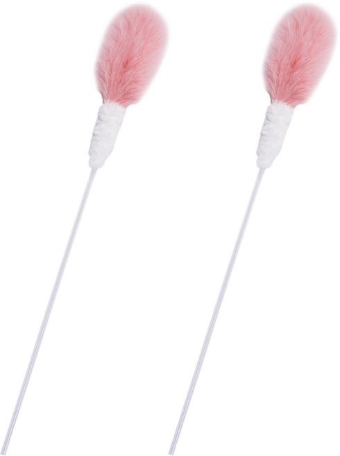 쥬아펫 고양이 메롱 꼬치 스틱 02, 혼합색상, 2개