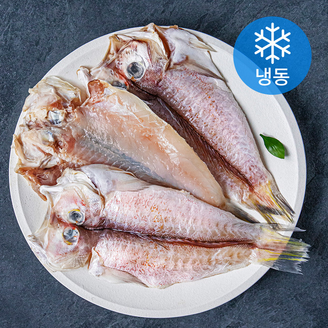 제주어부 제주 용암해수 참옥돔 (냉동), 160g, 3개