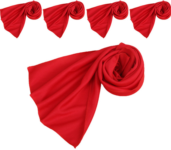 클레어라 매직 아이스 콜드 스포츠 타월 5p, 레드