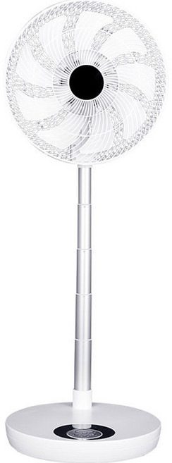 대원가전 리모컨 높이조절 폴더형 캠핑용 베라노 BLDC 접이식 선풍기, DW-BLDC9000