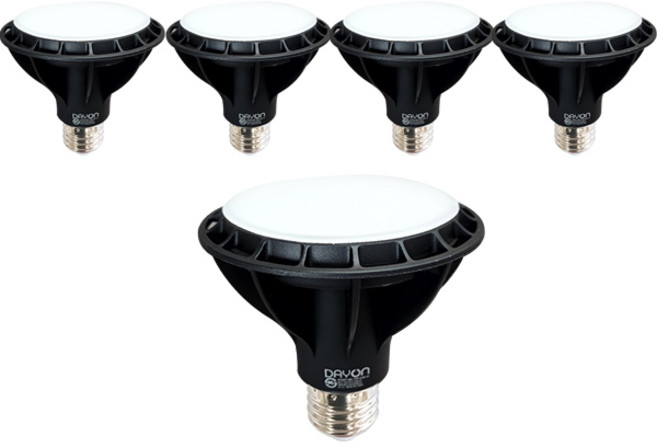 데이온 에코 PAR 30 LED 15W 확산형, 전구색, 5개