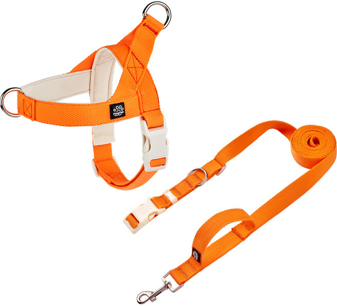 멍템 팔레트 하네스 + 핸즈프리 리드줄 세트, 네온 오렌지, 1개