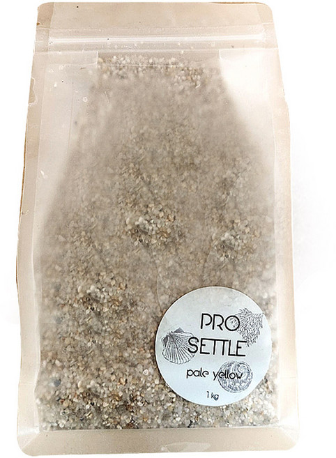 세틀 프로 바닥재 1kg, PALE YELLOW, 1개