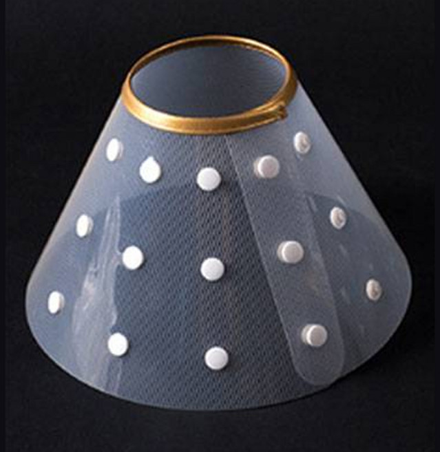 딩동펫 똑딱 깔때기 넥카라, 투명, 1개