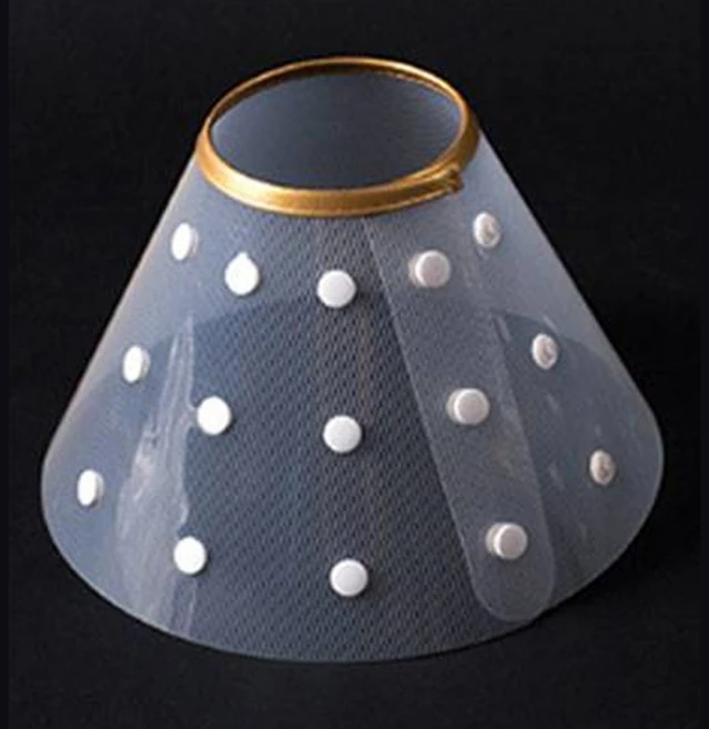 딩동펫 똑딱 깔때기 넥카라, 투명, 1개 - 쿠팡