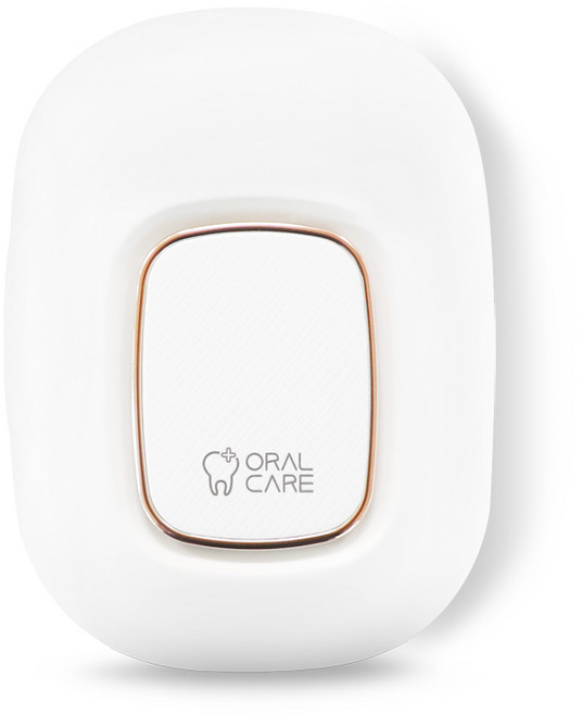 가포 오랄케어 PTC 온열 바람건조 휴대용 칫솔 살균기, STB-031, 화이트