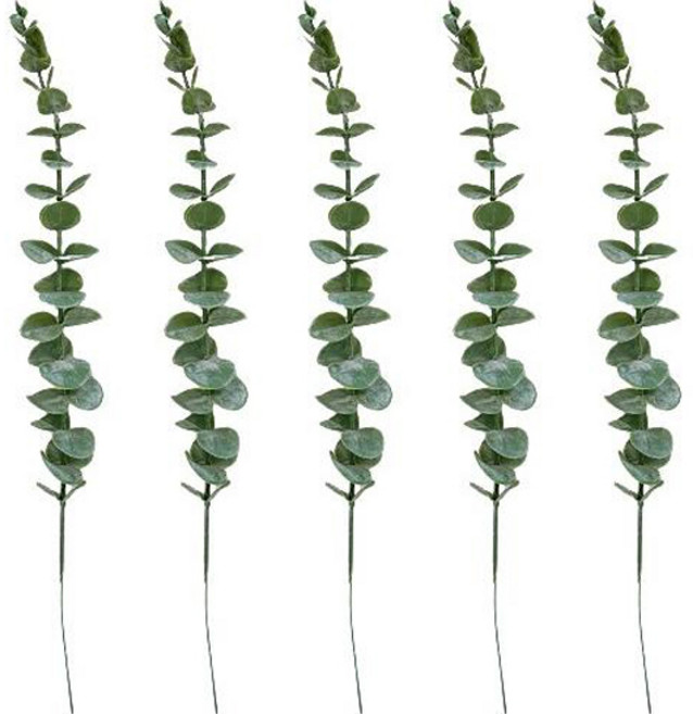 주앤지 조화 유칼립투스, 그린, 5개