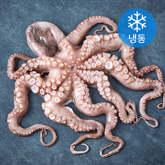 바다미식회 국내산 손질 통문어 (냉동), 800g, 1개