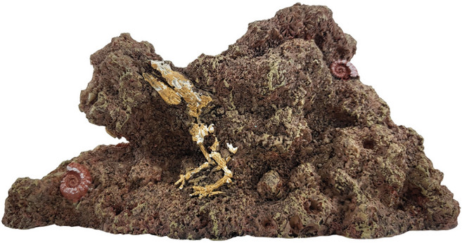 火山岩裝飾水石, 1個