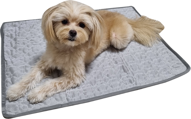 난펫 강아지 인견 쿨매트, 그레이, 1개