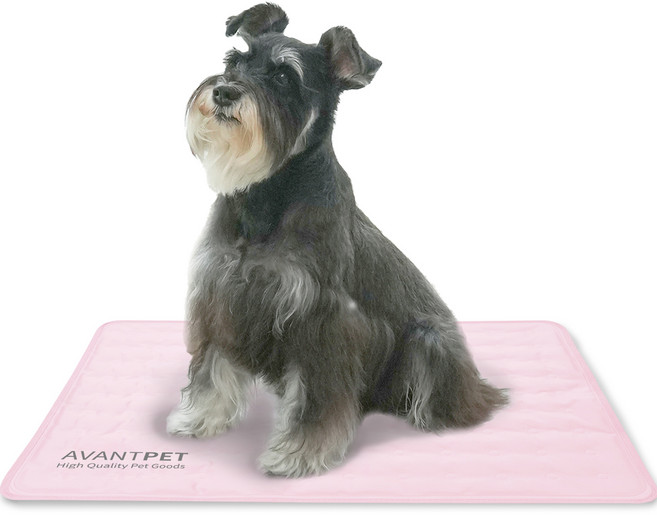 아반펫 강아지 고양이 쿨매트, 핑크, 1개