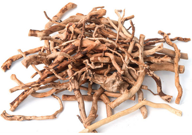 수아쿠아 네이처굿즈 잔가지 유목 500g, 1개