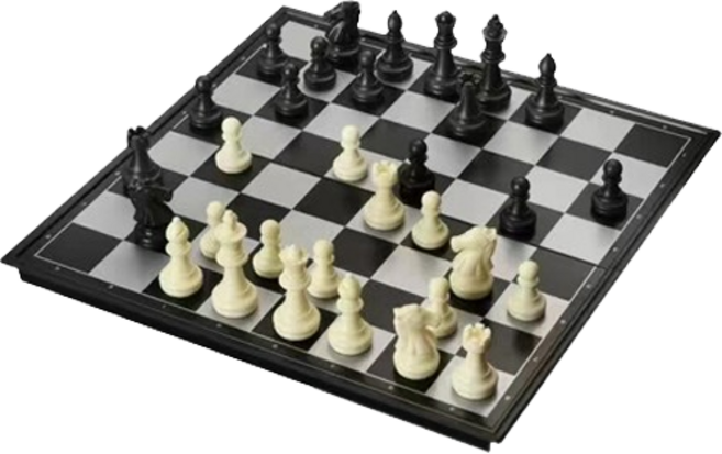 바이아 접이식 자석 체스 세트 미디움, 혼합색상, 1개