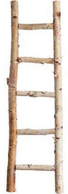 morningscent 자작나무 사다리 인테리어 소품, 혼합색상