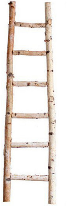 morningscent 자작나무 사다리 인테리어 소품, 혼합색상